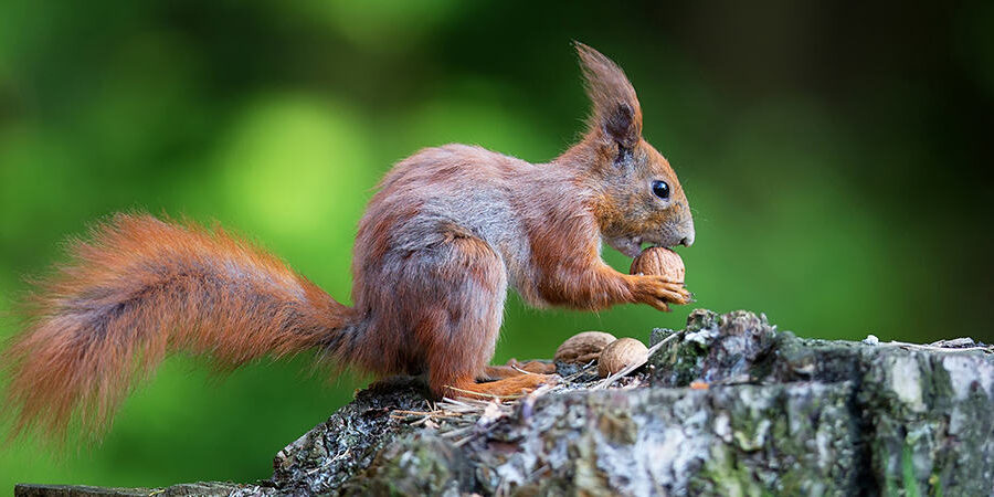 Beyond Accounting advice When The Quick Fix Pension Doesn’t Go As Planned