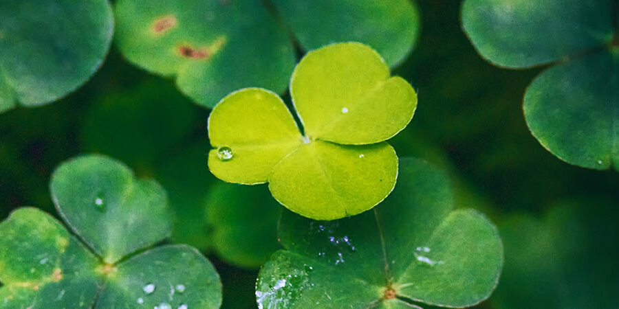 Beyond Accounting advice Ireland Grow In An Enterprise-Friendly Location