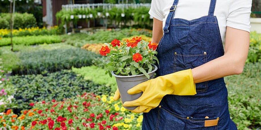 Beyond Accounting advice Outsourcing Gives You Room To Grow