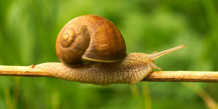 Beyond Accounting advice Chaser The Credit Control App That Chases Debtors For You