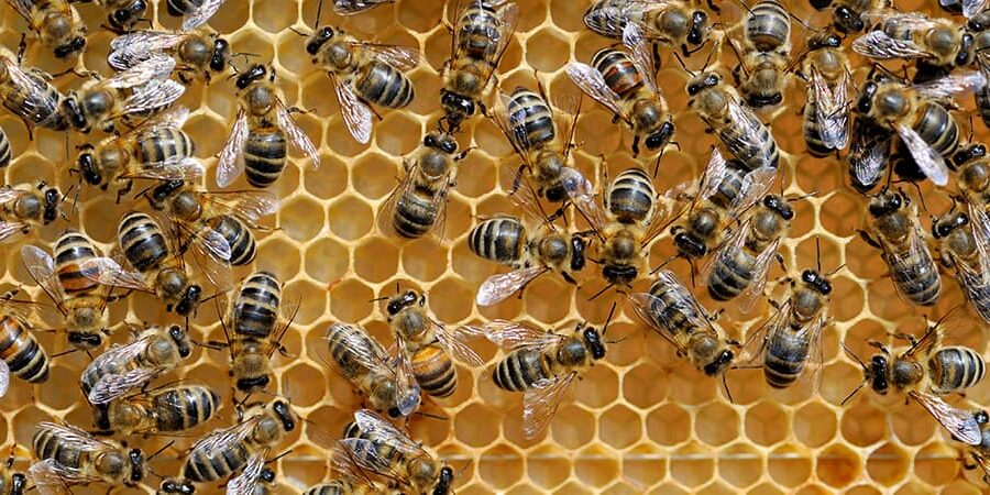 Beyond Accounting advice Benefits Advantages of Outsourced Accounting