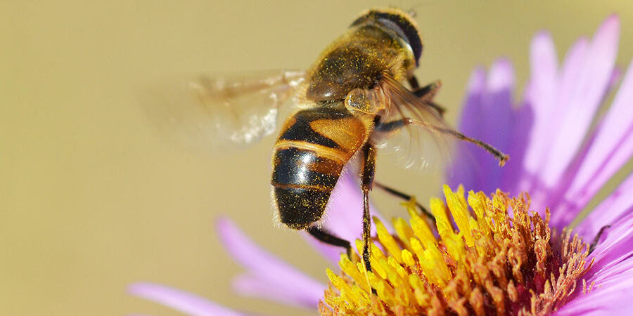 Beyond Accounting advice Are You Still Getting Stung By Bad Currency Exchange Rates And Fees