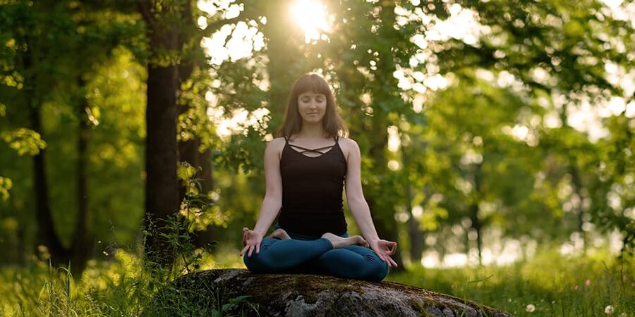 Beyond Accounting advice Avoid The Trauma Of Business Planning With Liveplan