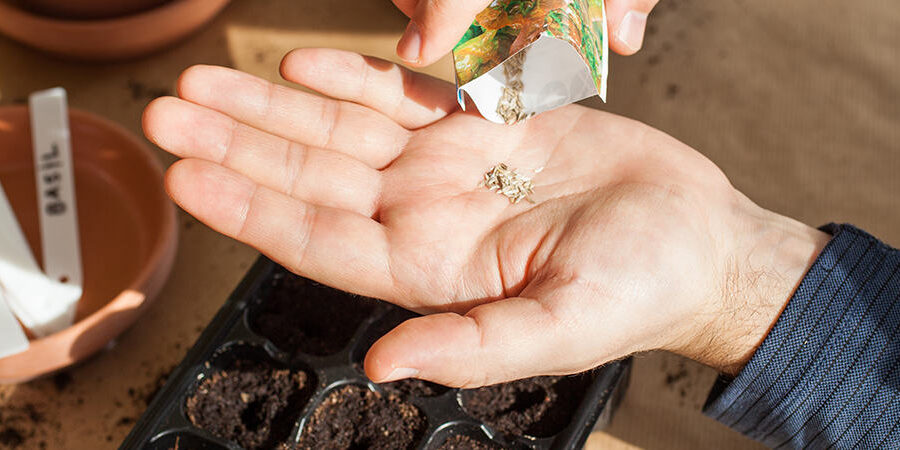 Beyond Accounting advice How I grew my business using content marketing