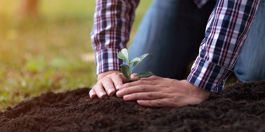 Do You Issue Shares To Employees Your Reporting Obligations Have Changed