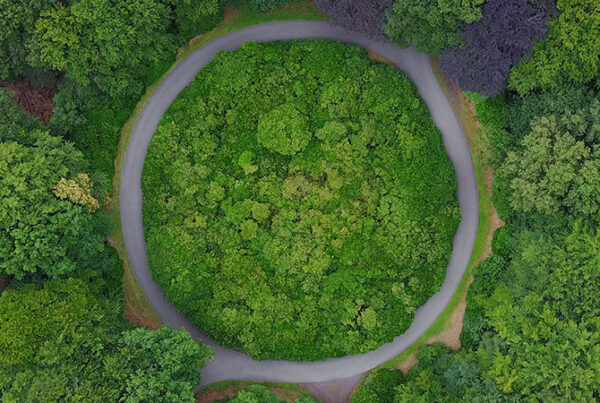 The Green Supports Helping Irish Companies To Put Sustainability First