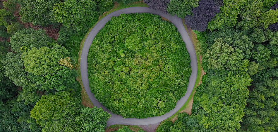 The Green Supports Helping Irish Companies To Put Sustainability First